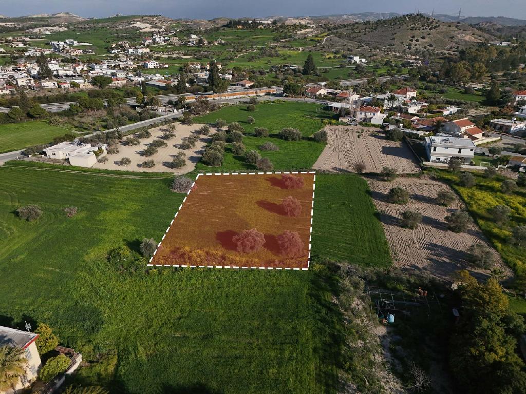 Field-Alambra-PR41918