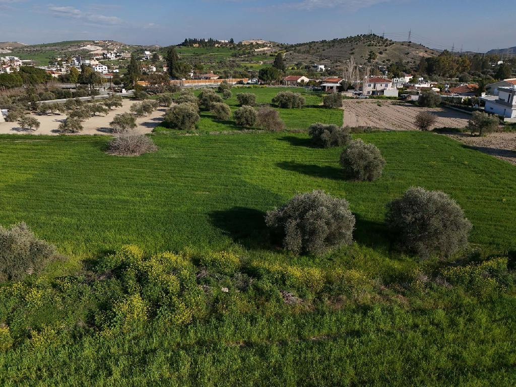 Field-Alambra-PR41918