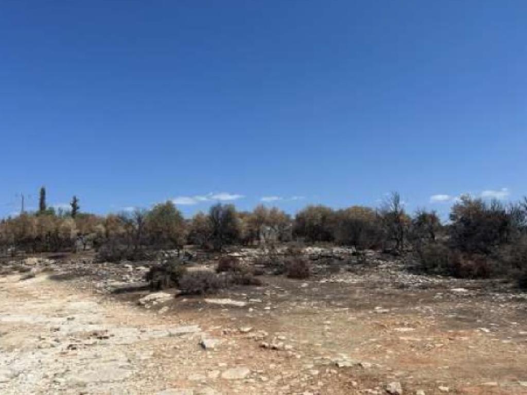 Field (Share) - Ypsonas, Limassol