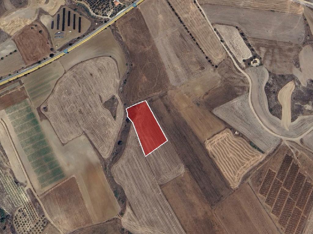 Field - Kato Koutrafas, Nicosia