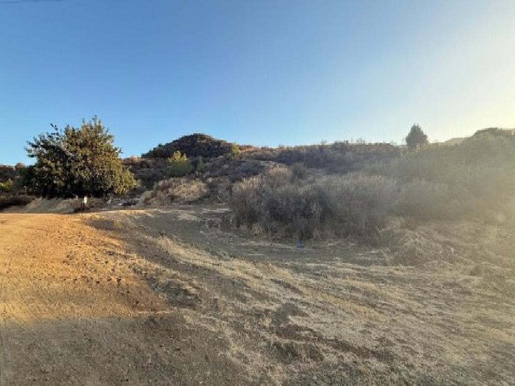 Field (Share) - Pano Pyrgos, Nicosia
