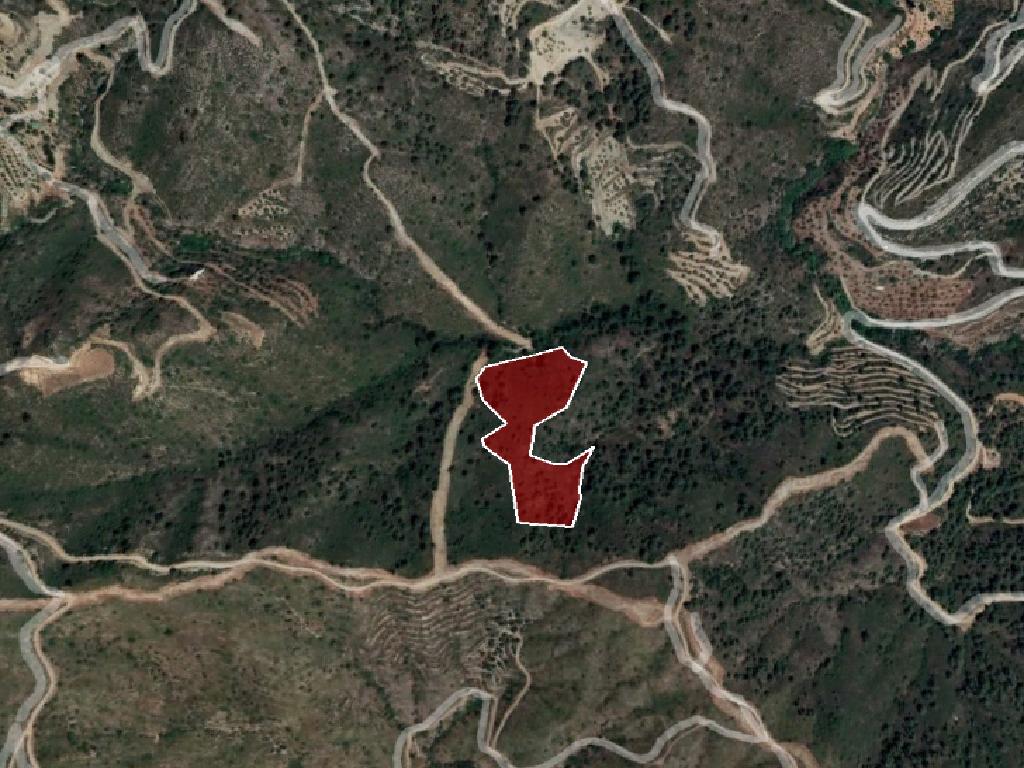 Field-Ora-PR13340