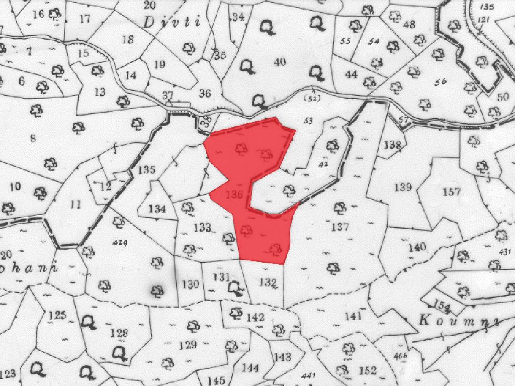Field-Ora-PR13340