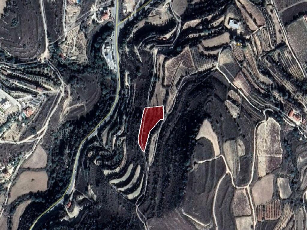 Field-Stroumpi-PR33180
