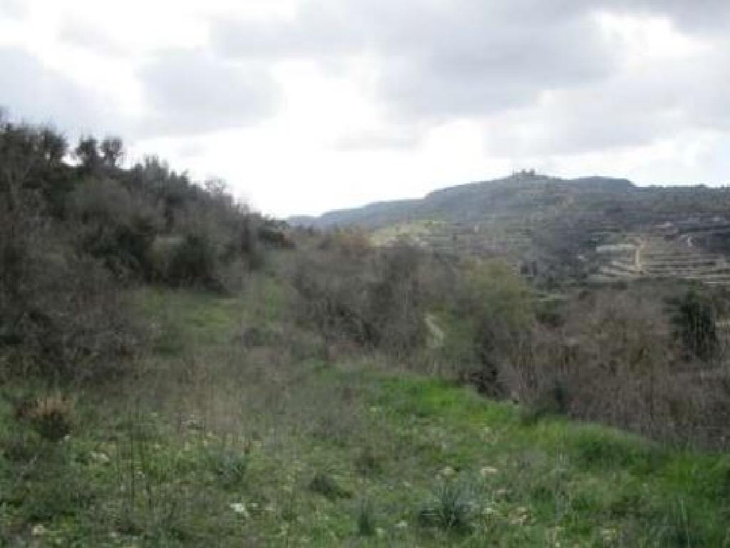 Field-Stroumpi-PR33180
