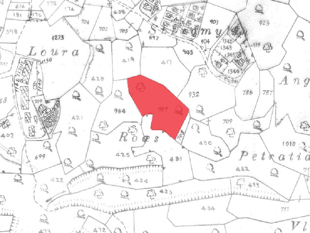 Field-Pissouri-PR33075