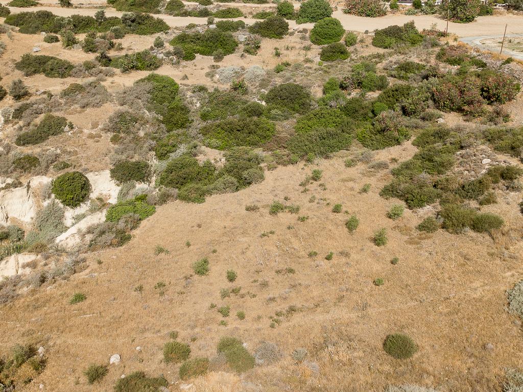 Field - Pissouri, Limassol