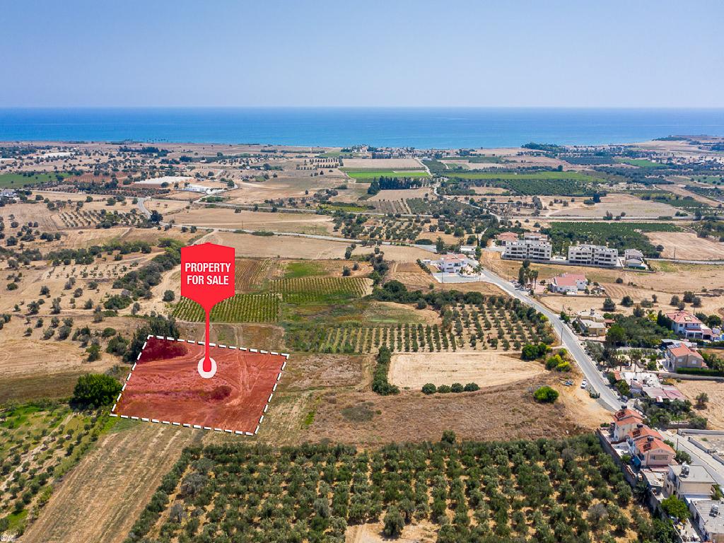 Field - Mazotos,Larnaca