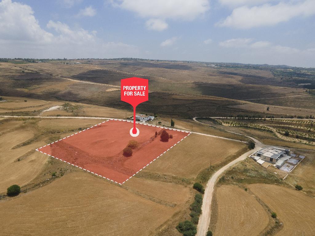 Field - Pano Arodes, Paphos