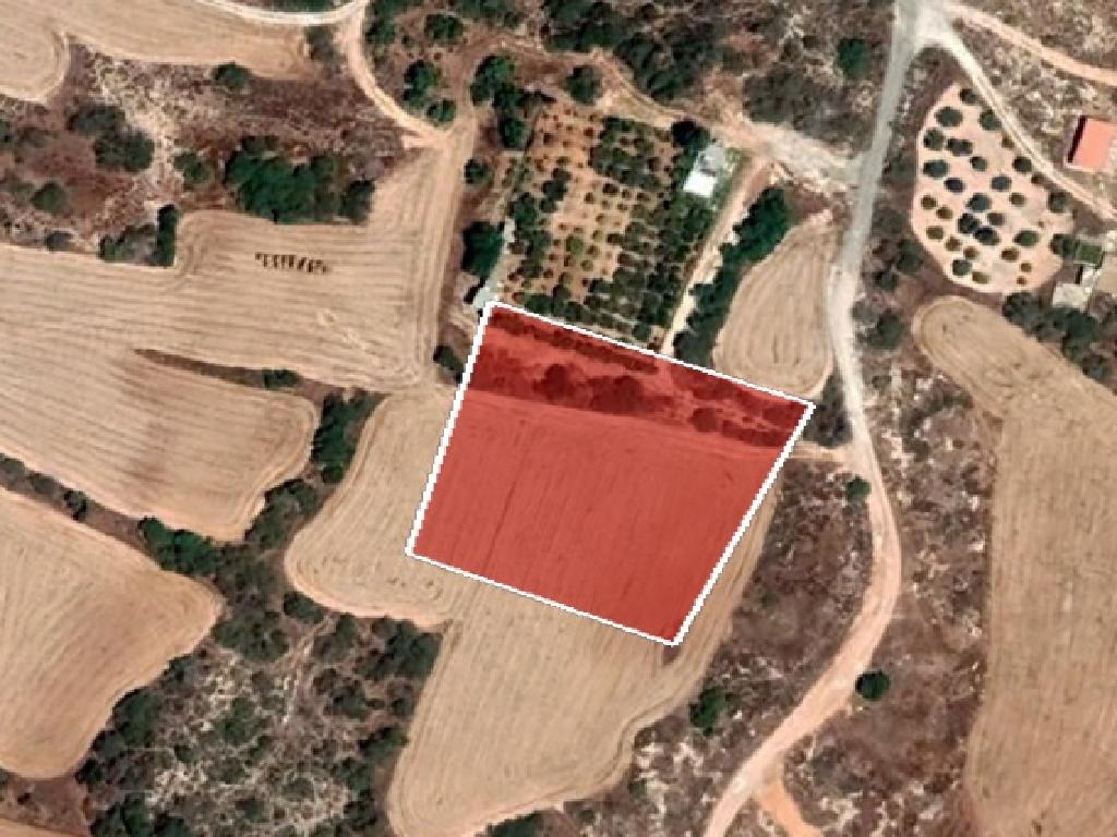 Field-Paralimni-PR36299