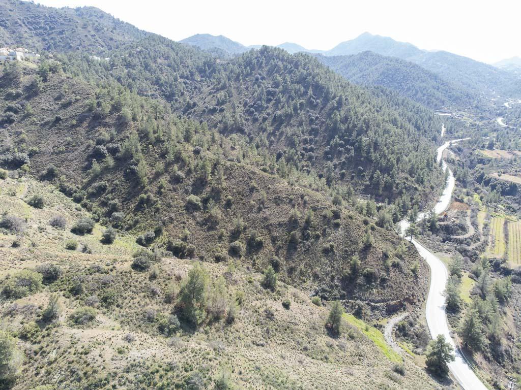 Field-Gourri-PR37237
