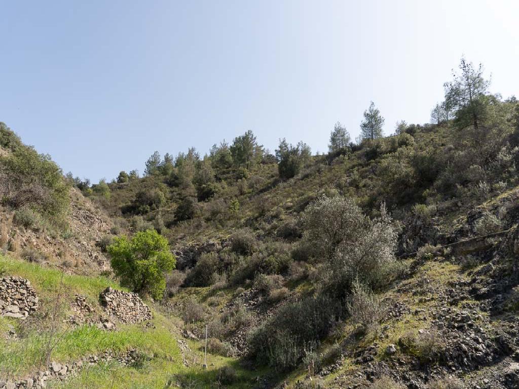 Field-Gourri-PR37237