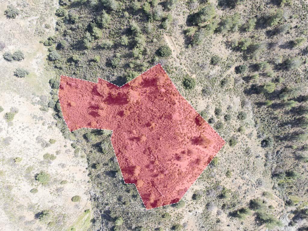 Field-Gourri-PR37237