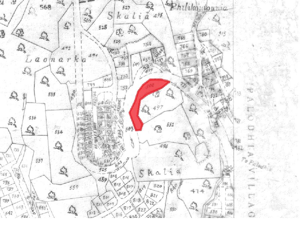 Field-Palodeia-PR37450