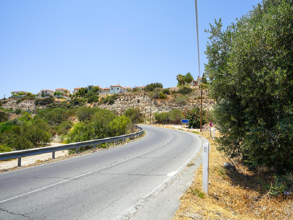 Field-Palodeia-PR37450