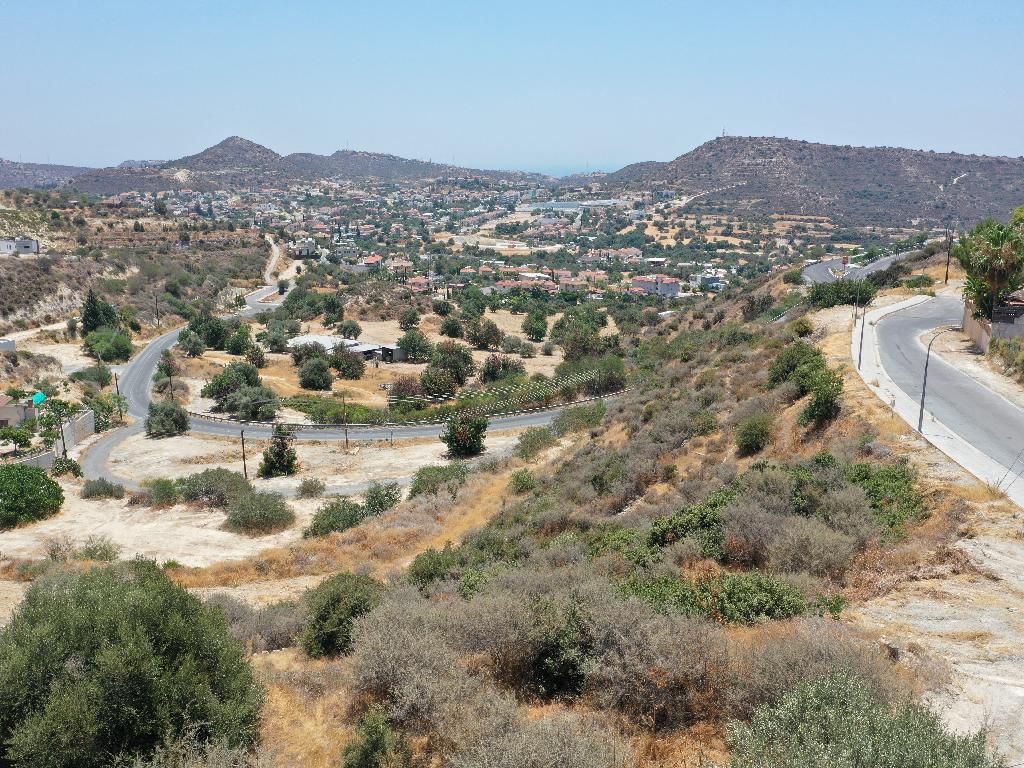 Field-Palodeia-PR37450