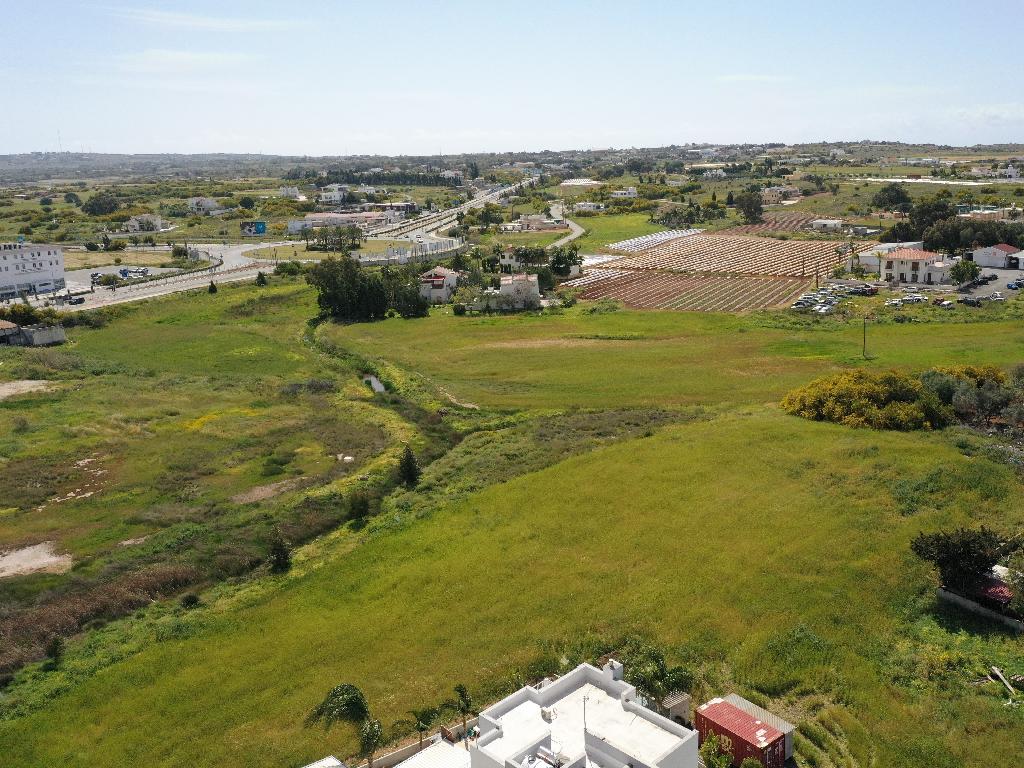 Field-Paralimni-PR37937
