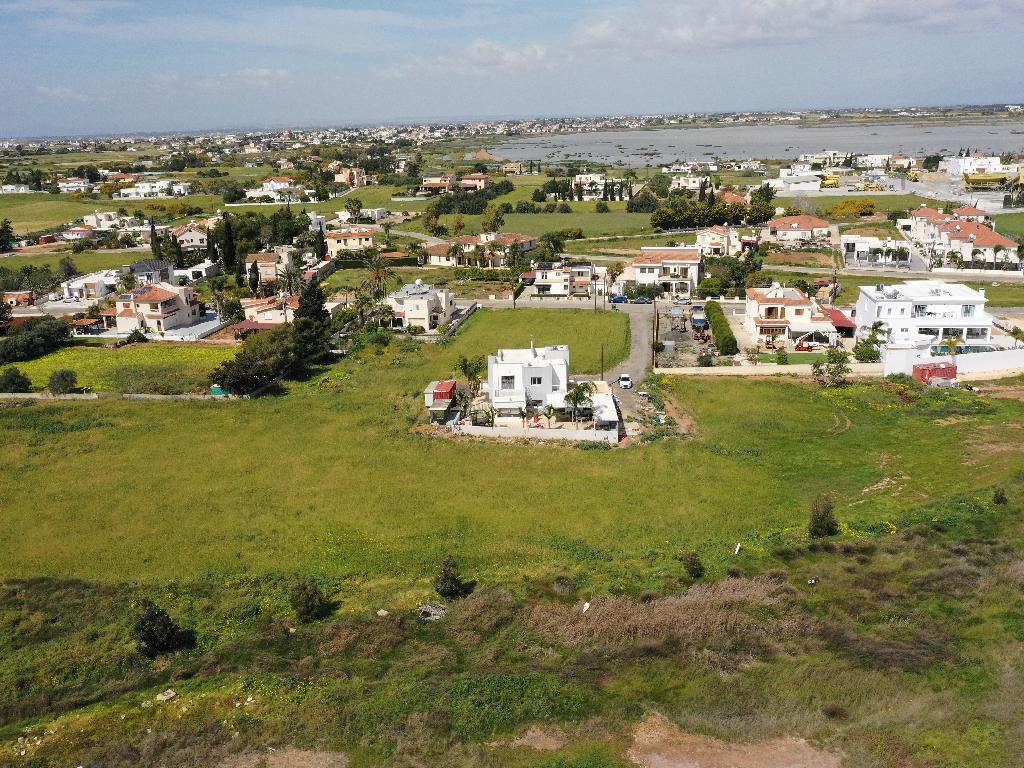 Field-Paralimni-PR37937