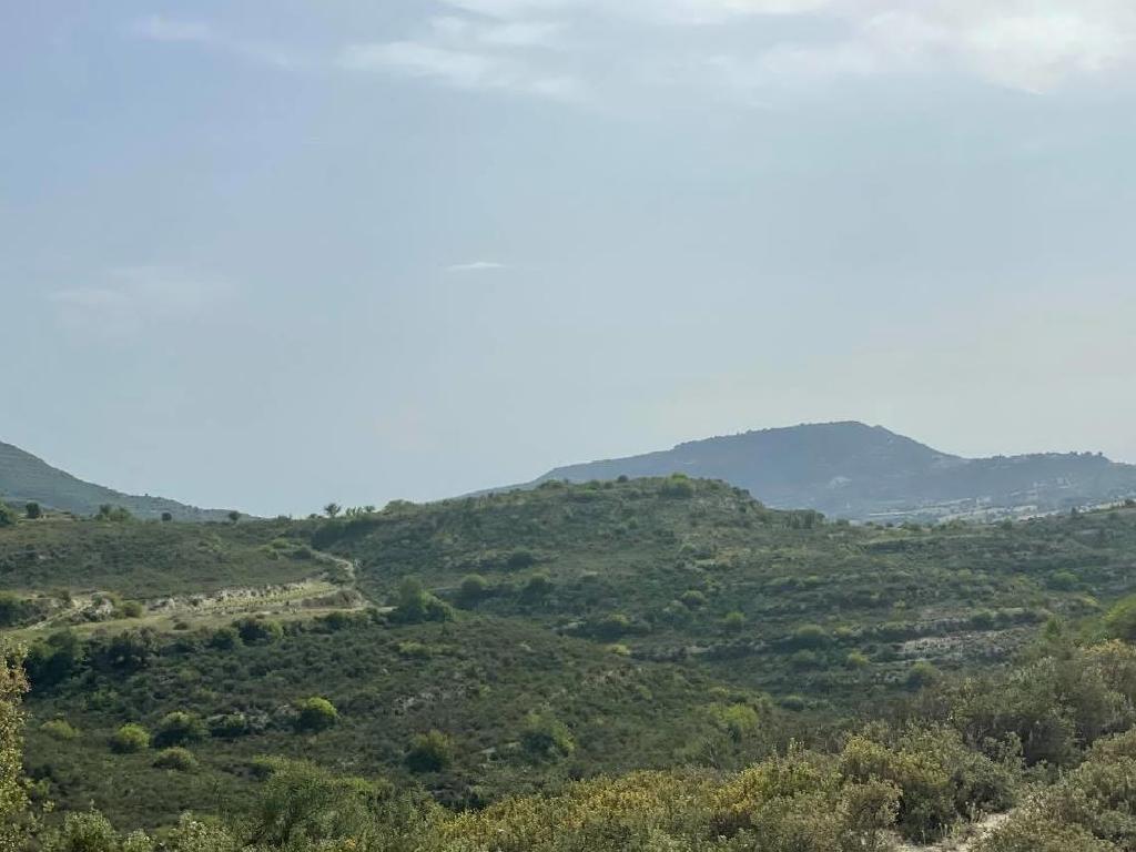 Field-Pachna-PR39094