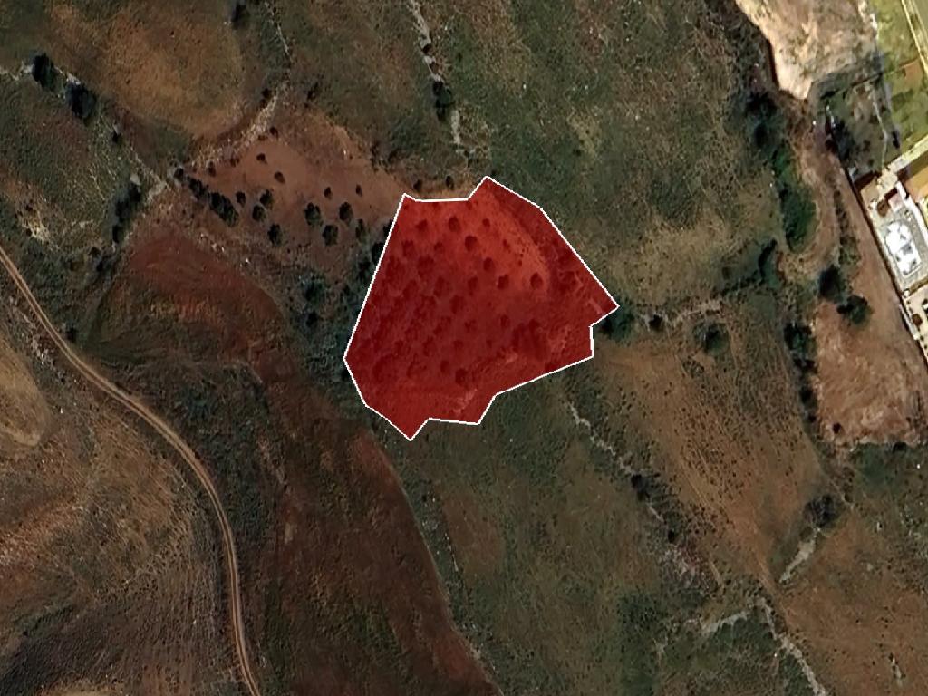 Field-Ineia-PR39796