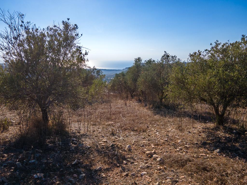 Field-Ineia-PR39796