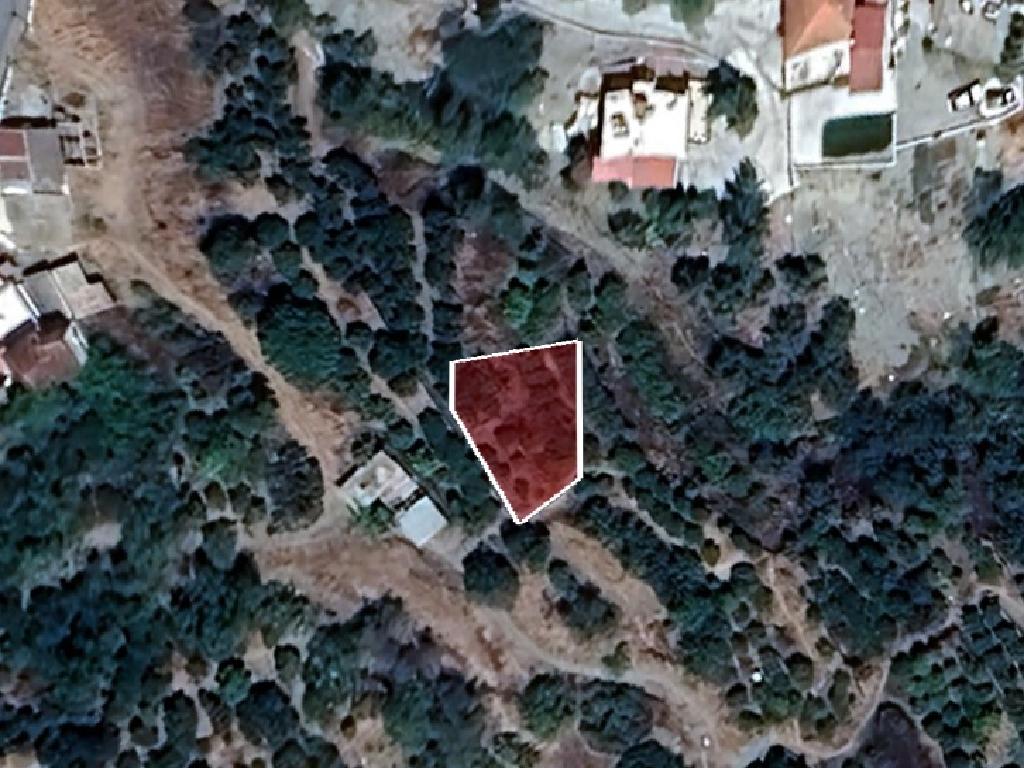 Field-Dierona-PR41233