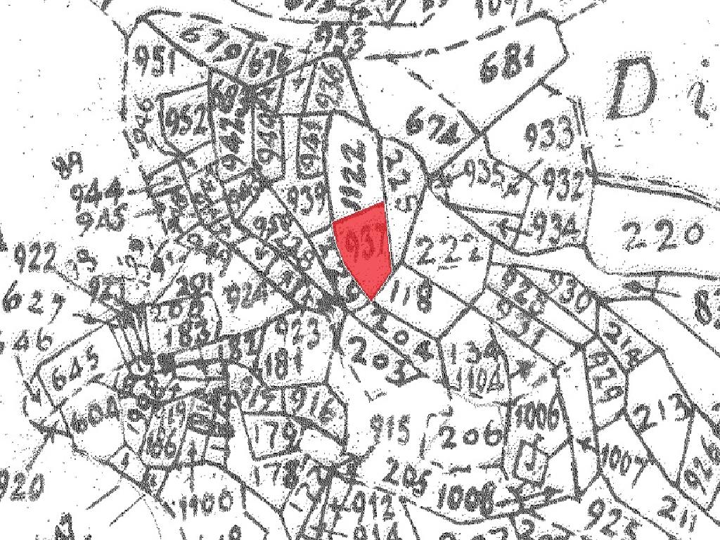 Field-Dierona-PR41233