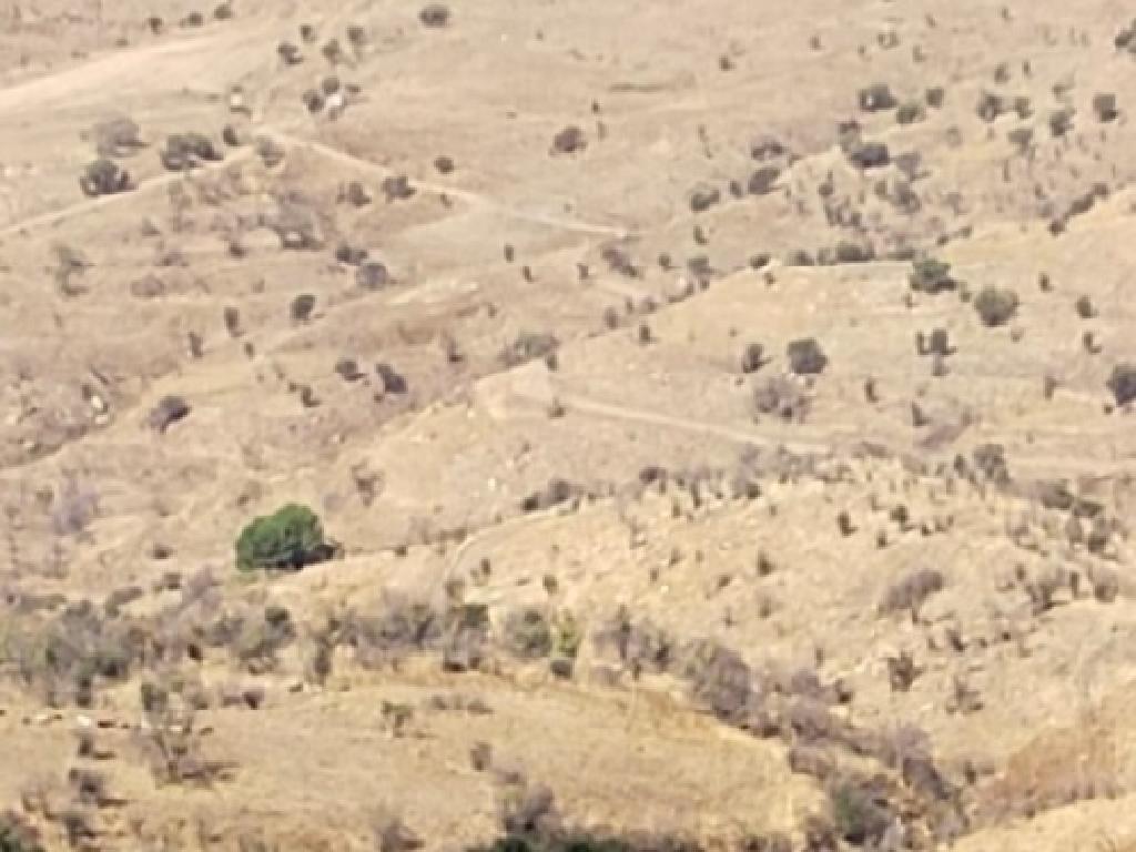 Field-Statos - Agios Fotios-PR41138