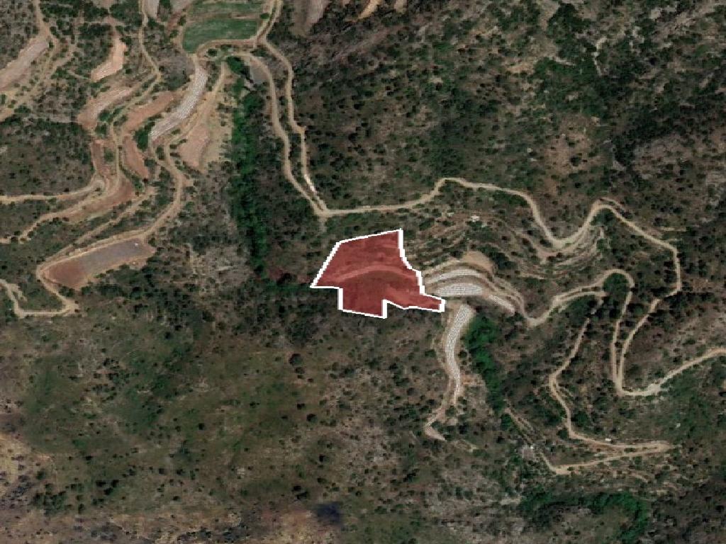 Field-Odou-PR41915