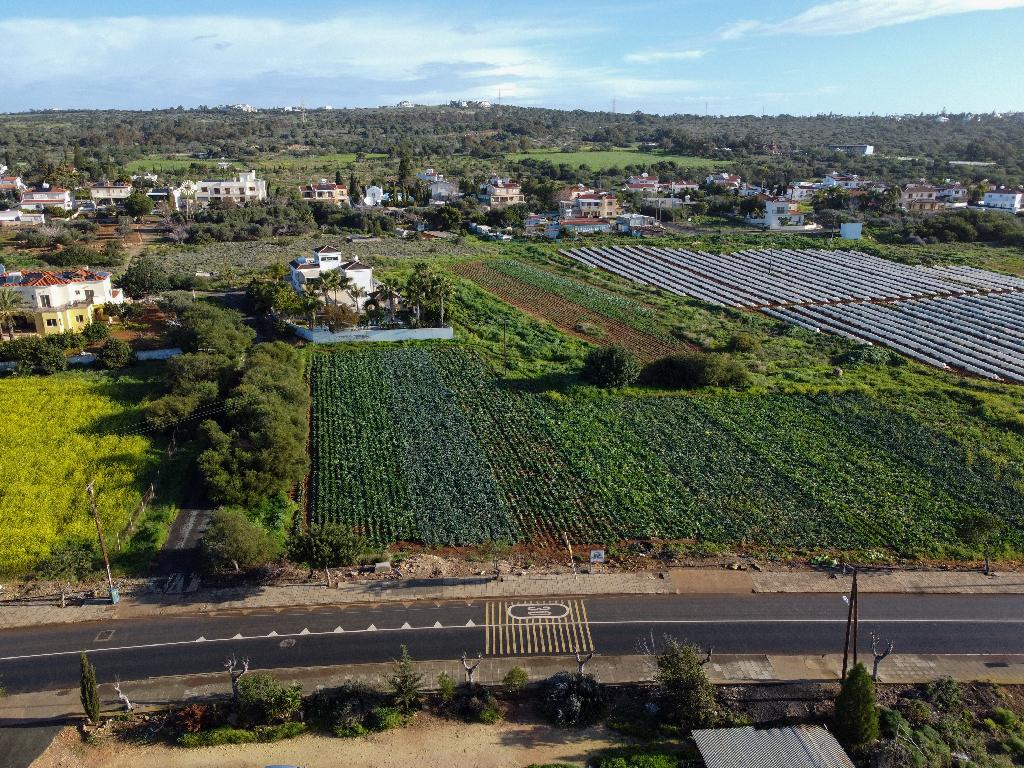 Field (Share) - Agia Napa, Famagusta