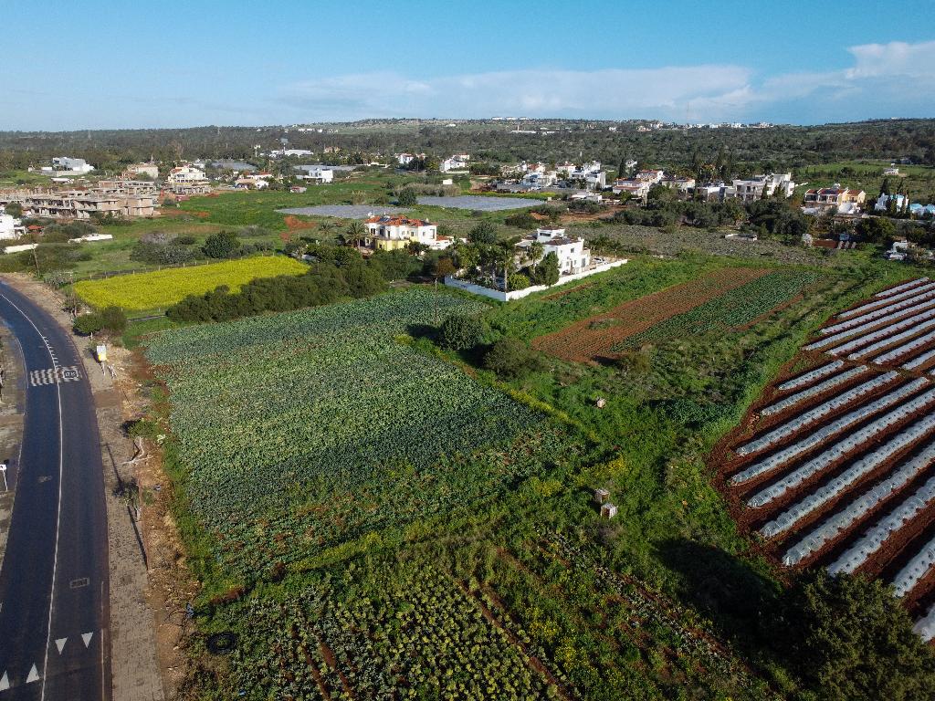 Field-Agia Napa-PR44615