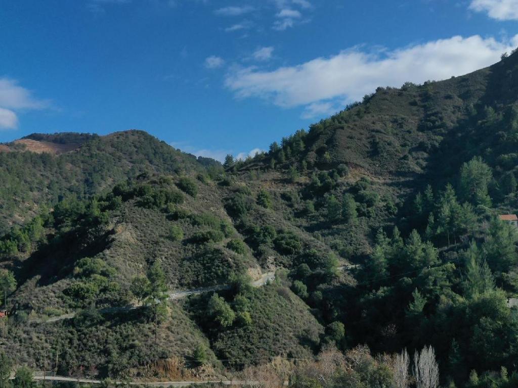 Field-Kalopanagiotis-PR12567