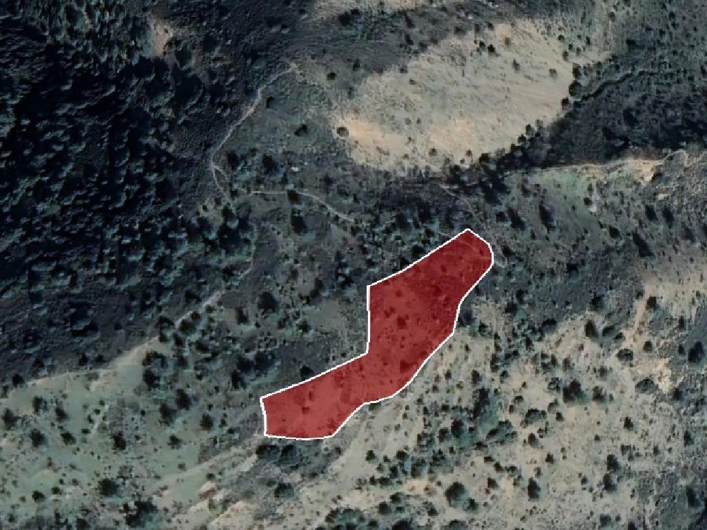 Field-Kalopanagiotis-PR12567
