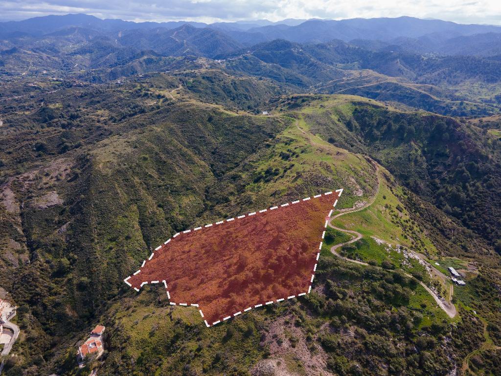 Field (Share) - Pigenia, Nicosia