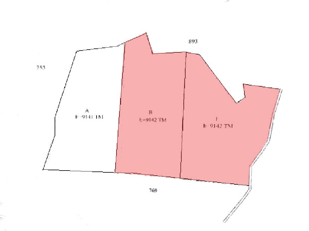 Field-Pigenia-PR12345