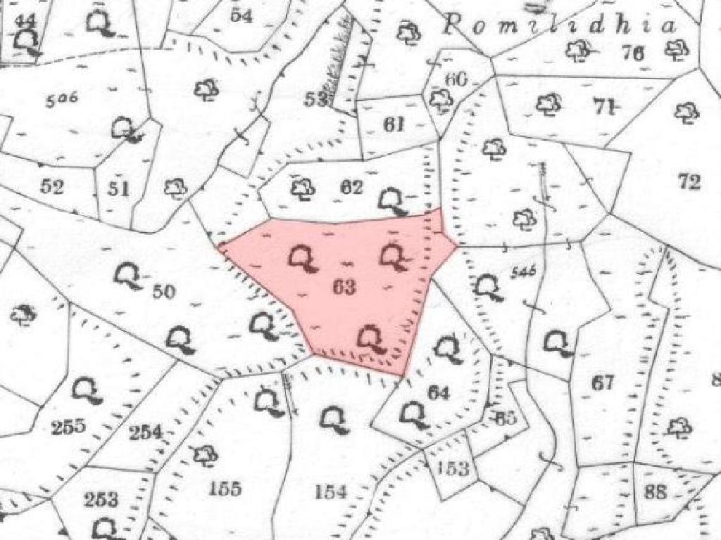 Field-Ora-PR11009