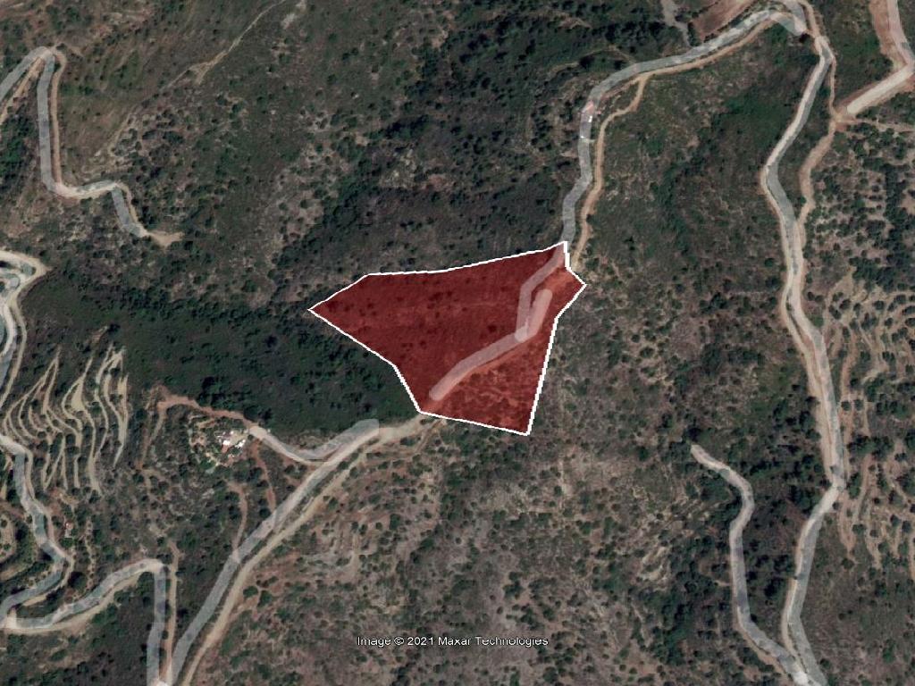 Field-Ora-PR11009