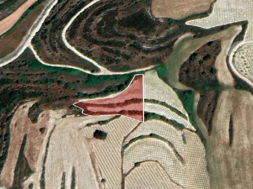 Field-Kathikas-PR34500