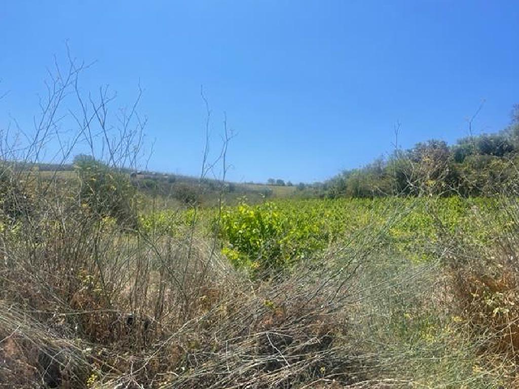 Field-Kathikas-PR34500