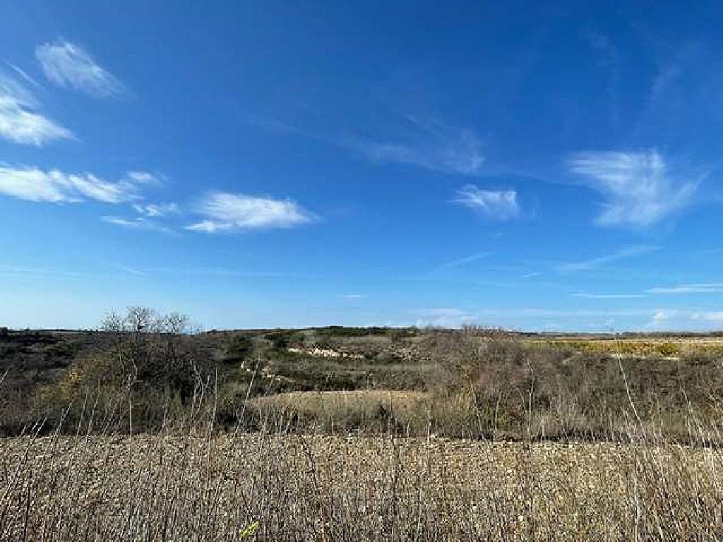 Field-Kathikas-PR34500