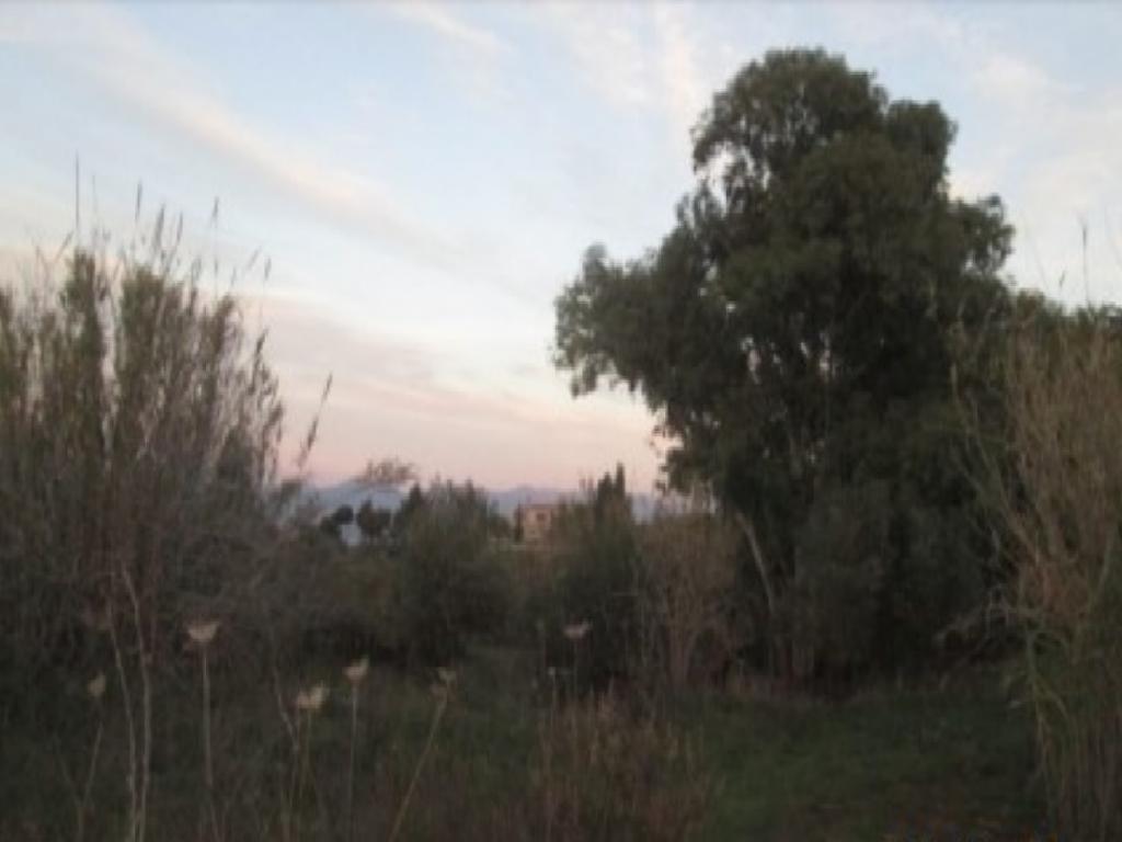 Field-Drouseia-PR36060