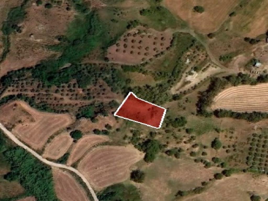 Field-Drouseia-PR36060