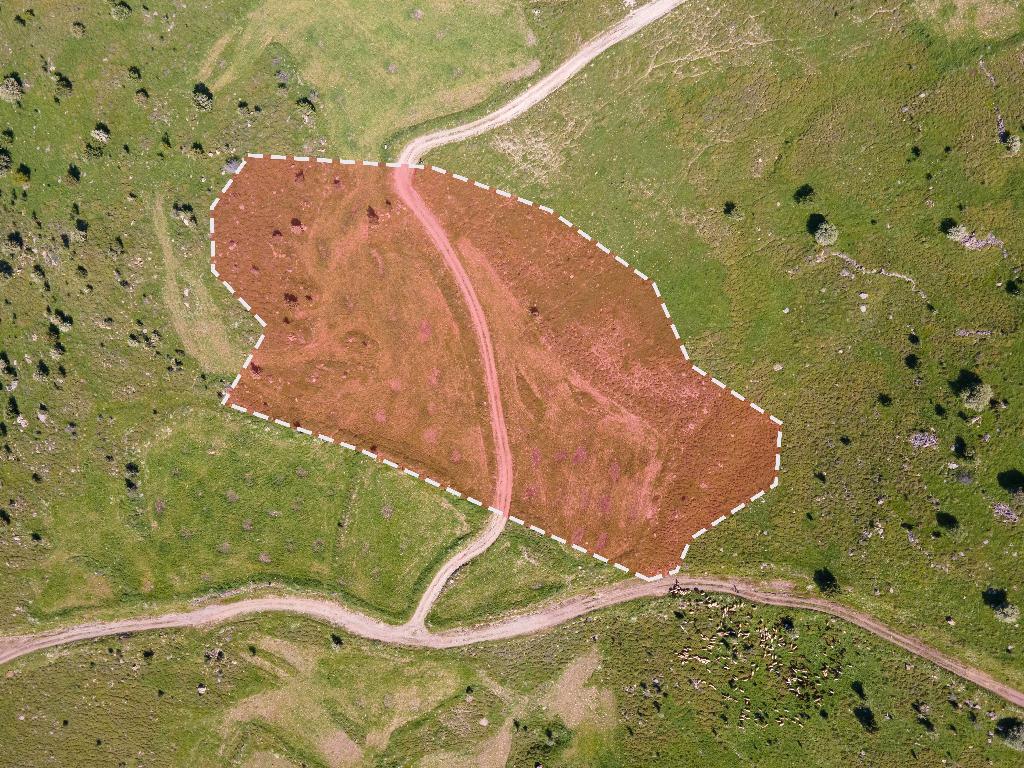 Field-Kelokedara-PR36879