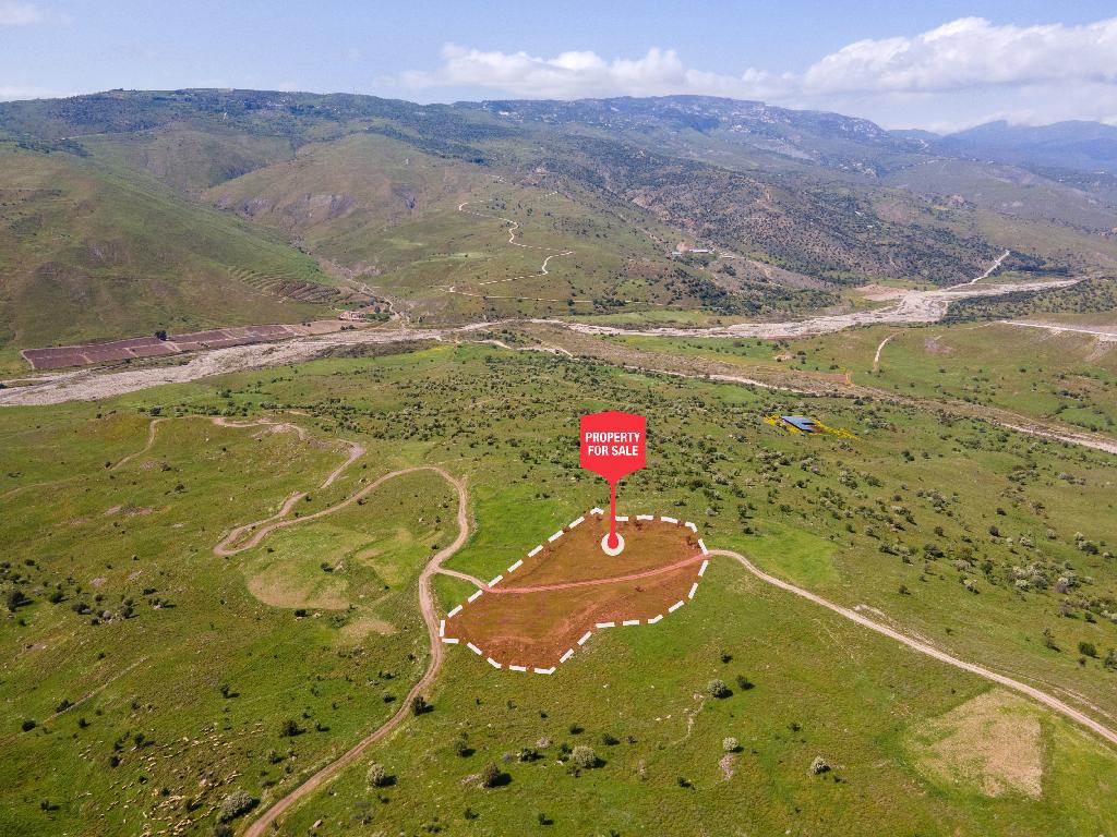 Field-Kelokedara-PR36879
