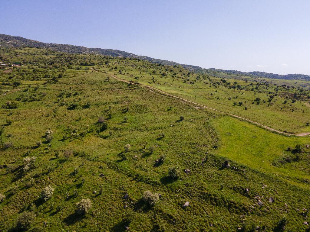 Field-Kelokedara-PR36879