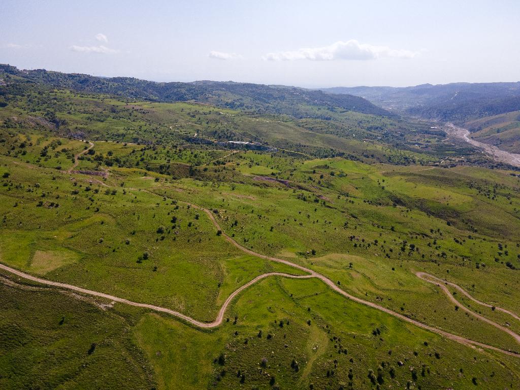 Field-Kelokedara-PR36879
