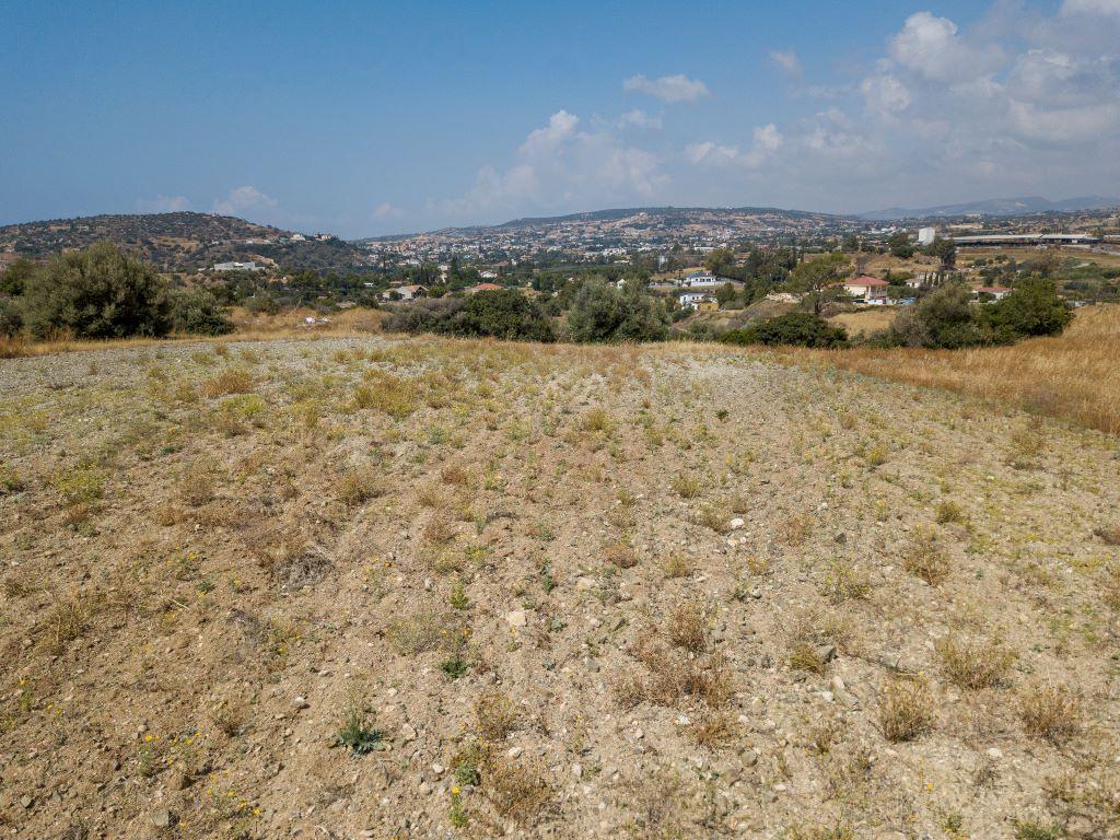 Field (Share) - Pyrgos, Limassol