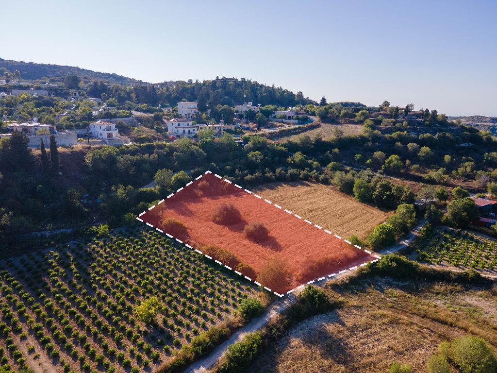 Field -Theletra, Paphos