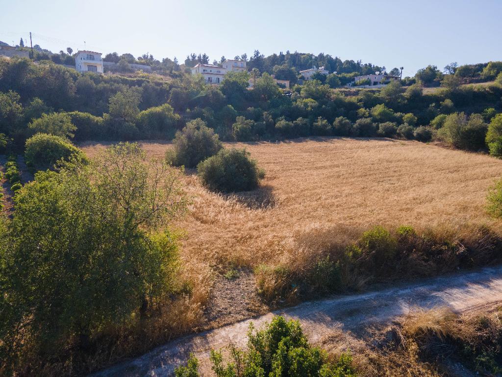 Field -Theletra, Paphos