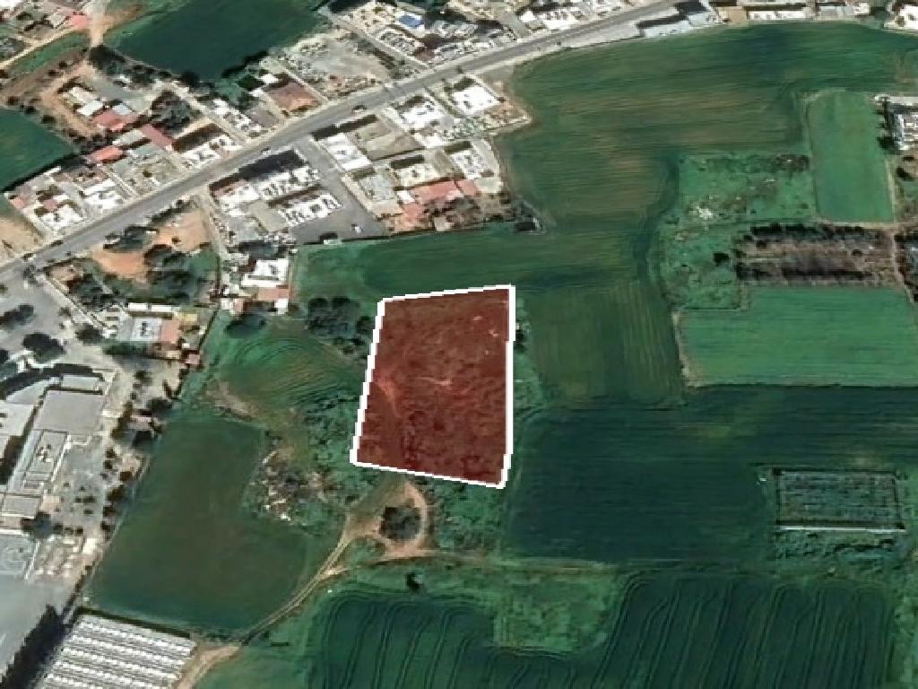 Field-Paralimni-PR36702